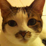 Molly